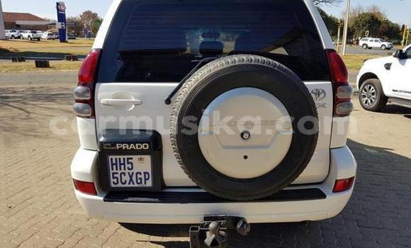 Buy Used Toyota Prado White Car in Beitbridge in Matabeleland South Buy Used Toyota Prado White Car in Beitbridge in Matabeleland South