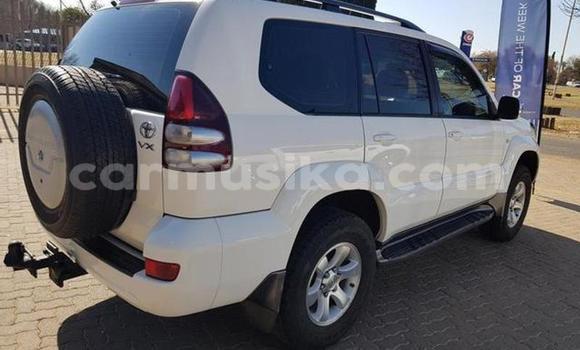 Buy Used Toyota Prado White Car in Beitbridge in Matabeleland South Buy Used Toyota Prado White Car in Beitbridge in Matabeleland South