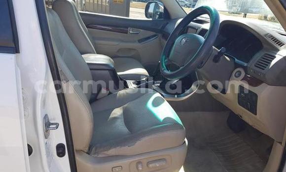 Buy Used Toyota Prado White Car in Beitbridge in Matabeleland South Buy Used Toyota Prado White Car in Beitbridge in Matabeleland South