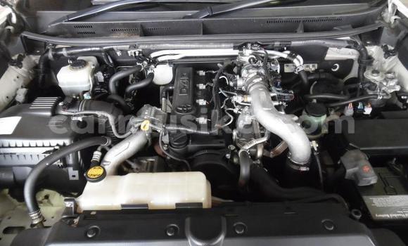 Buy Used Toyota Prado White Car in Beitbridge in Matabeleland South Buy Used Toyota Prado White Car in Beitbridge in Matabeleland South