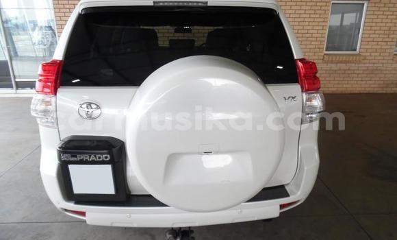 Nunua Ilio tumika Toyota Prado Nyeupe Gari ndani ya Beitbridge nchini Matabeleland Kusini Nunua Ilio tumika Toyota Prado Nyeupe Gari ndani ya Beitbridge nchini Matabeleland Kusini