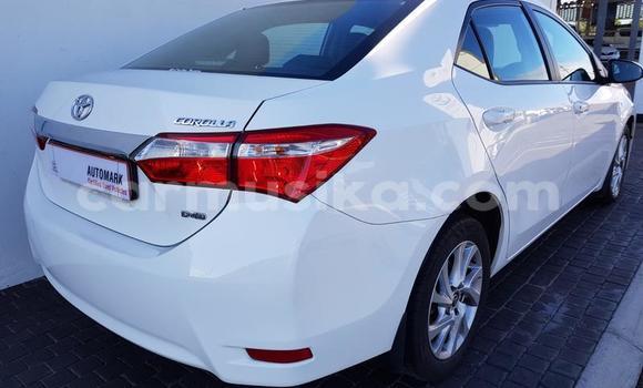 Acheter Occasion Voiture Toyota Corolla Blanc à Beitbridge, Matabeleland South Acheter Occasion Voiture Toyota Corolla Blanc à Beitbridge, Matabeleland South