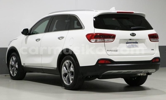 Tenga Tsaru Kia Sorento Chena Mota in Beitbridge in Matabeleland South Tenga Tsaru Kia Sorento Chena Mota in Beitbridge in Matabeleland South