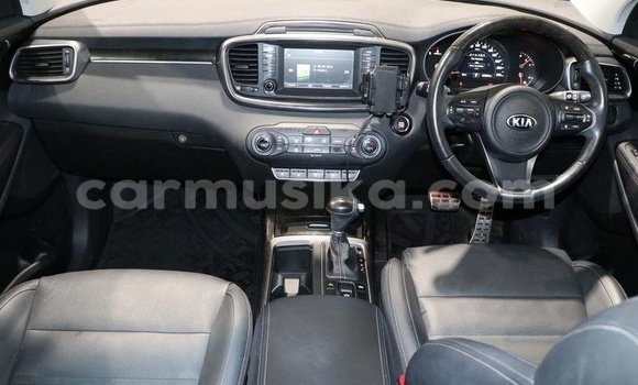 Tenga Tsaru Kia Sorento Chena Mota in Beitbridge in Matabeleland South Tenga Tsaru Kia Sorento Chena Mota in Beitbridge in Matabeleland South