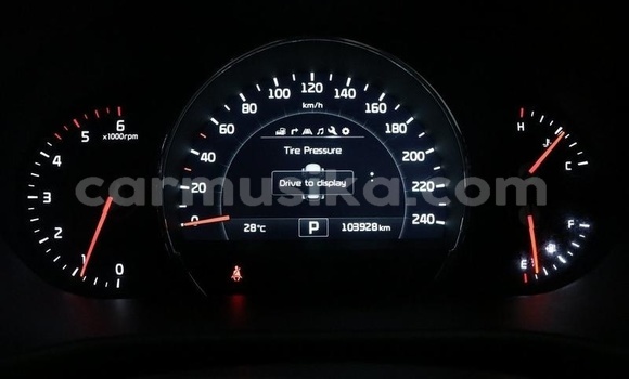 Tenga Tsaru Kia Sorento Chena Mota in Beitbridge in Matabeleland South Tenga Tsaru Kia Sorento Chena Mota in Beitbridge in Matabeleland South