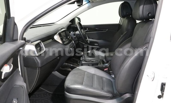 Tenga Tsaru Kia Sorento Chena Mota in Beitbridge in Matabeleland South Tenga Tsaru Kia Sorento Chena Mota in Beitbridge in Matabeleland South