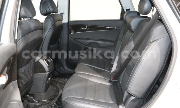 Tenga Tsaru Kia Sorento Chena Mota in Beitbridge in Matabeleland South Tenga Tsaru Kia Sorento Chena Mota in Beitbridge in Matabeleland South