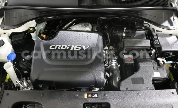 Tenga Tsaru Kia Sorento Chena Mota in Beitbridge in Matabeleland South Tenga Tsaru Kia Sorento Chena Mota in Beitbridge in Matabeleland South