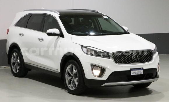 Tenga Tsaru Kia Sorento Chena Mota in Beitbridge in Matabeleland South Tenga Tsaru Kia Sorento Chena Mota in Beitbridge in Matabeleland South