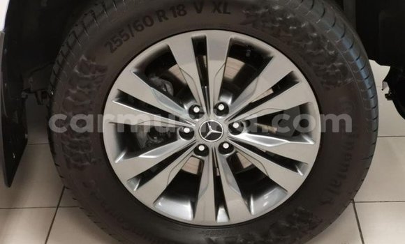 Tenga Tsaru Mercedes‒Benz 250 Chena Mota in Beitbridge in Matabeleland South Tenga Tsaru Mercedes‒Benz 250 Chena Mota in Beitbridge in Matabeleland South