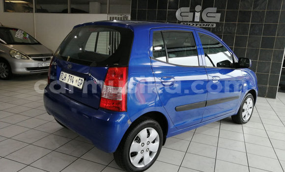 Tenga Tsaru Kia Picanto Bhuruu Mota in Bulawayo in Bulawayo Tenga Tsaru Kia Picanto Bhuruu Mota in Bulawayo in Bulawayo