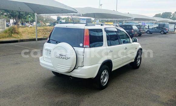 Tenga Tsaru Honda CR–V Chena Mota in Harare in Harare Tenga Tsaru Honda CR–V Chena Mota in Harare in Harare