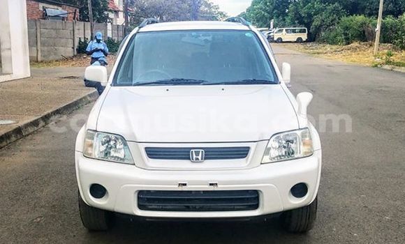 Tenga Tsaru Honda CR–V Chena Mota in Harare in Harare Tenga Tsaru Honda CR–V Chena Mota in Harare in Harare