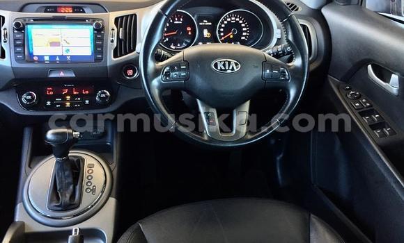 Buy Used Kia Sportage Other Car in Beitbridge in Matabeleland South Buy Used Kia Sportage Other Car in Beitbridge in Matabeleland South