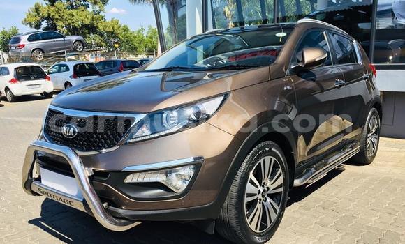 Buy Used Kia Sportage Other Car in Beitbridge in Matabeleland South Buy Used Kia Sportage Other Car in Beitbridge in Matabeleland South
