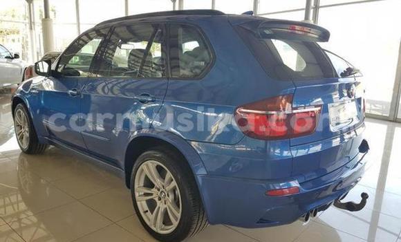 Tenga Tsaru BMW X5 Bhuruu Mota in Beitbridge in Matabeleland South Tenga Tsaru BMW X5 Bhuruu Mota in Beitbridge in Matabeleland South