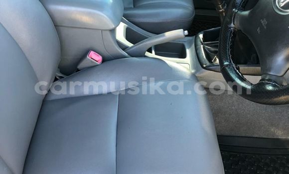 Tenga Tsaru Toyota Hilux Chena Mota in Beitbridge in Matabeleland South Tenga Tsaru Toyota Hilux Chena Mota in Beitbridge in Matabeleland South