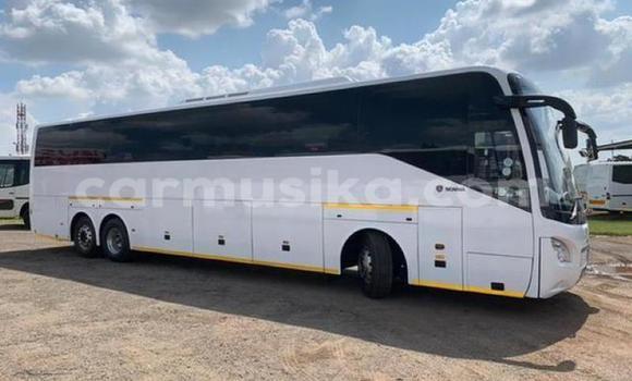 Tenga Tsaru Scania Irizar Chena Rori in Beitbridge in Matabeleland South Tenga Tsaru Scania Irizar Chena Rori in Beitbridge in Matabeleland South