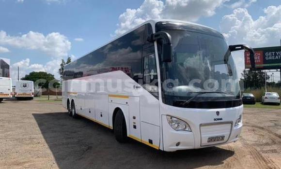 Tenga Tsaru Scania Irizar Chena Rori in Beitbridge in Matabeleland South Tenga Tsaru Scania Irizar Chena Rori in Beitbridge in Matabeleland South