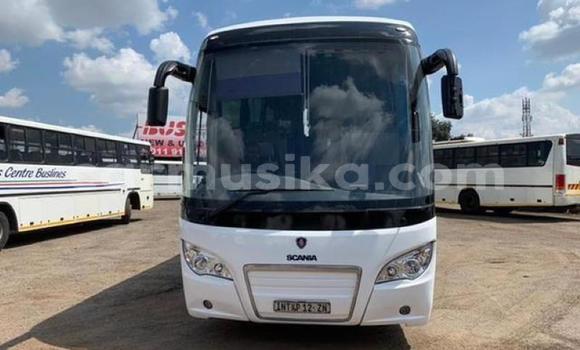 Tenga Tsaru Scania Irizar Chena Rori in Beitbridge in Matabeleland South Tenga Tsaru Scania Irizar Chena Rori in Beitbridge in Matabeleland South