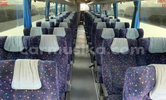 Tenga Tsaru Scania Irizar Chena Rori in Beitbridge in Matabeleland South Tenga Tsaru Scania Irizar Chena Rori in Beitbridge in Matabeleland South