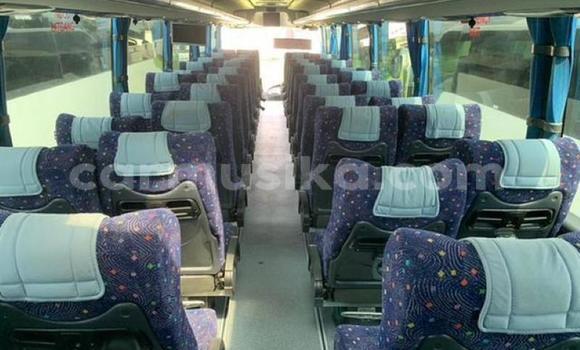 Tenga Tsaru Scania Irizar Chena Rori in Beitbridge in Matabeleland South Tenga Tsaru Scania Irizar Chena Rori in Beitbridge in Matabeleland South