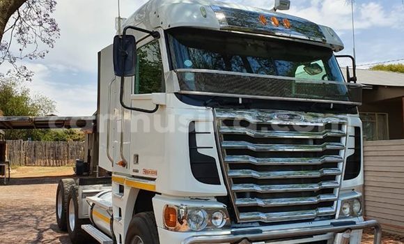Buy Used DAF CF White Truck in Beitbridge in Matabeleland South Buy Used DAF CF White Truck in Beitbridge in Matabeleland South