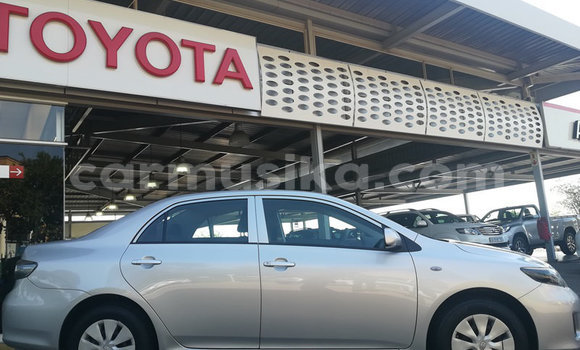Acheter Occasion Voiture Toyota Corolla Blanc à Beitbridge, Matabeleland South Acheter Occasion Voiture Toyota Corolla Blanc à Beitbridge, Matabeleland South