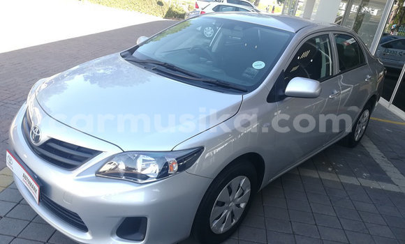 Acheter Occasion Voiture Toyota Corolla Blanc à Beitbridge, Matabeleland South Acheter Occasion Voiture Toyota Corolla Blanc à Beitbridge, Matabeleland South