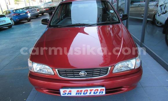 Acheter Occasion Voiture Toyota Corolla Autre à Beitbridge, Matabeleland South Acheter Occasion Voiture Toyota Corolla Autre à Beitbridge, Matabeleland South