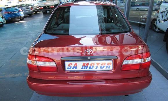 Acheter Occasion Voiture Toyota Corolla Autre à Beitbridge, Matabeleland South Acheter Occasion Voiture Toyota Corolla Autre à Beitbridge, Matabeleland South