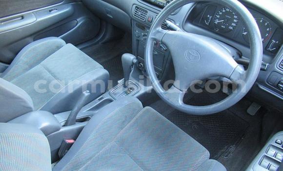 Acheter Occasion Voiture Toyota Corolla Autre à Beitbridge, Matabeleland South Acheter Occasion Voiture Toyota Corolla Autre à Beitbridge, Matabeleland South