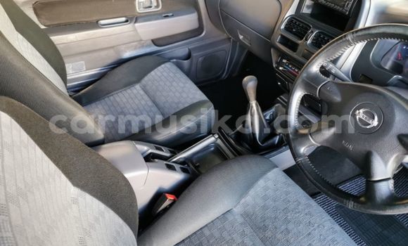 Tenga Tsaru Nissan Hardbody Chena Mota in Beitbridge in Matabeleland South Tenga Tsaru Nissan Hardbody Chena Mota in Beitbridge in Matabeleland South