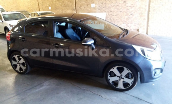 Tenga Tsaru Kia Rio Nhema Mota in Beitbridge in Matabeleland South Tenga Tsaru Kia Rio Nhema Mota in Beitbridge in Matabeleland South