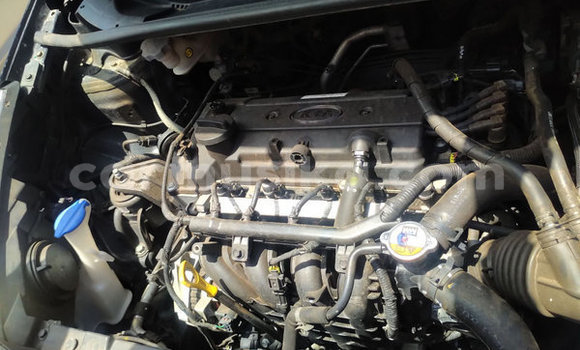 Buy Used Kia Rio Black Car in Beitbridge in Matabeleland South Buy Used Kia Rio Black Car in Beitbridge in Matabeleland South