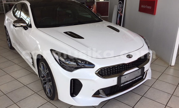 Tenga Tsaru Kia Stinger Chena Mota in Beitbridge in Matabeleland South Tenga Tsaru Kia Stinger Chena Mota in Beitbridge in Matabeleland South