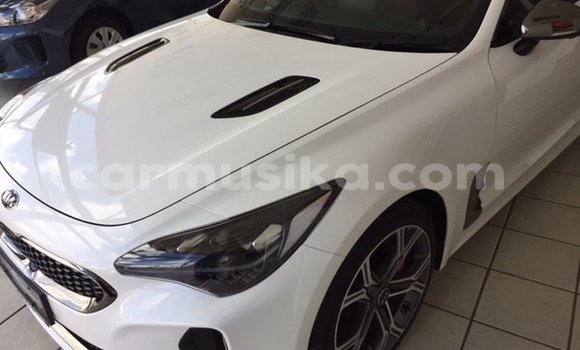 Tenga Tsaru Kia Stinger Chena Mota in Beitbridge in Matabeleland South Tenga Tsaru Kia Stinger Chena Mota in Beitbridge in Matabeleland South