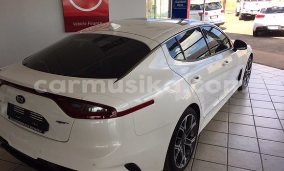 Tenga Tsaru Kia Stinger Chena Mota in Beitbridge in Matabeleland South Tenga Tsaru Kia Stinger Chena Mota in Beitbridge in Matabeleland South