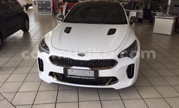 Tenga Tsaru Kia Stinger Chena Mota in Beitbridge in Matabeleland South Tenga Tsaru Kia Stinger Chena Mota in Beitbridge in Matabeleland South