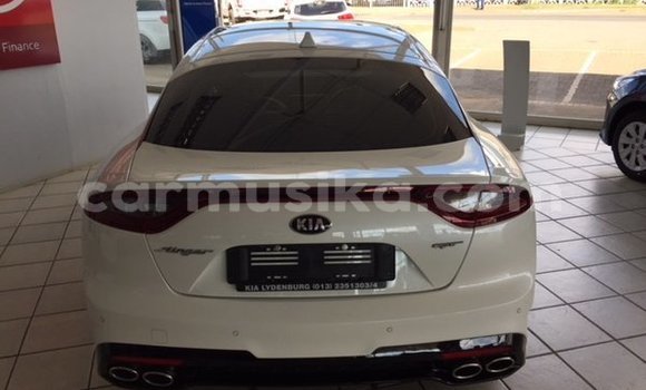 Tenga Tsaru Kia Stinger Chena Mota in Beitbridge in Matabeleland South Tenga Tsaru Kia Stinger Chena Mota in Beitbridge in Matabeleland South