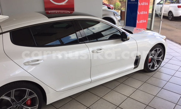 Tenga Tsaru Kia Stinger Chena Mota in Beitbridge in Matabeleland South Tenga Tsaru Kia Stinger Chena Mota in Beitbridge in Matabeleland South