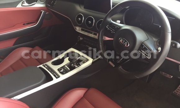 Tenga Tsaru Kia Stinger Chena Mota in Beitbridge in Matabeleland South Tenga Tsaru Kia Stinger Chena Mota in Beitbridge in Matabeleland South