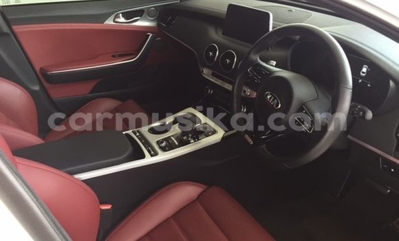 Tenga Tsaru Kia Stinger Chena Mota in Beitbridge in Matabeleland South Tenga Tsaru Kia Stinger Chena Mota in Beitbridge in Matabeleland South