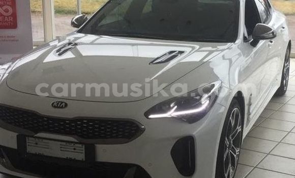 Tenga Tsaru Kia Stinger Chena Mota in Beitbridge in Matabeleland South Tenga Tsaru Kia Stinger Chena Mota in Beitbridge in Matabeleland South