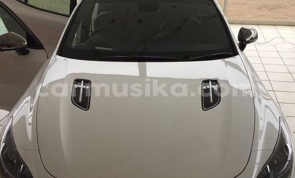 Tenga Tsaru Kia Stinger Chena Mota in Beitbridge in Matabeleland South Tenga Tsaru Kia Stinger Chena Mota in Beitbridge in Matabeleland South