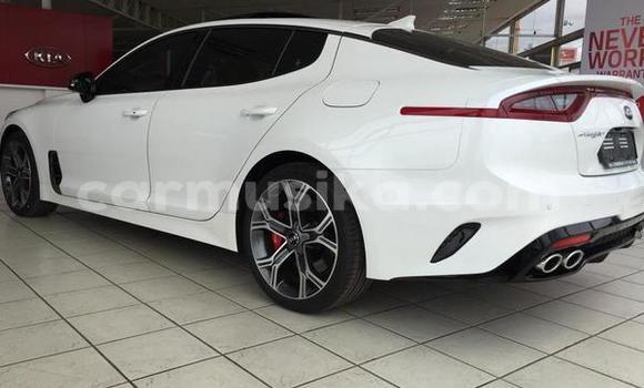 Tenga Tsaru Kia Stinger Chena Mota in Beitbridge in Matabeleland South Tenga Tsaru Kia Stinger Chena Mota in Beitbridge in Matabeleland South