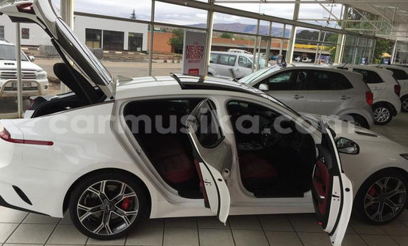 Tenga Tsaru Kia Stinger Chena Mota in Beitbridge in Matabeleland South Tenga Tsaru Kia Stinger Chena Mota in Beitbridge in Matabeleland South