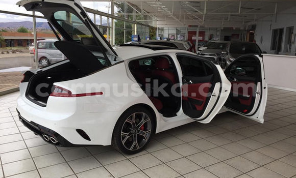 Tenga Tsaru Kia Stinger Chena Mota in Beitbridge in Matabeleland South Tenga Tsaru Kia Stinger Chena Mota in Beitbridge in Matabeleland South