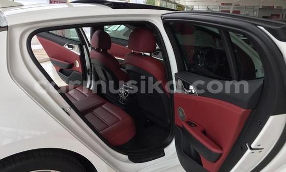 Tenga Tsaru Kia Stinger Chena Mota in Beitbridge in Matabeleland South Tenga Tsaru Kia Stinger Chena Mota in Beitbridge in Matabeleland South