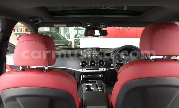 Tenga Tsaru Kia Stinger Chena Mota in Beitbridge in Matabeleland South Tenga Tsaru Kia Stinger Chena Mota in Beitbridge in Matabeleland South